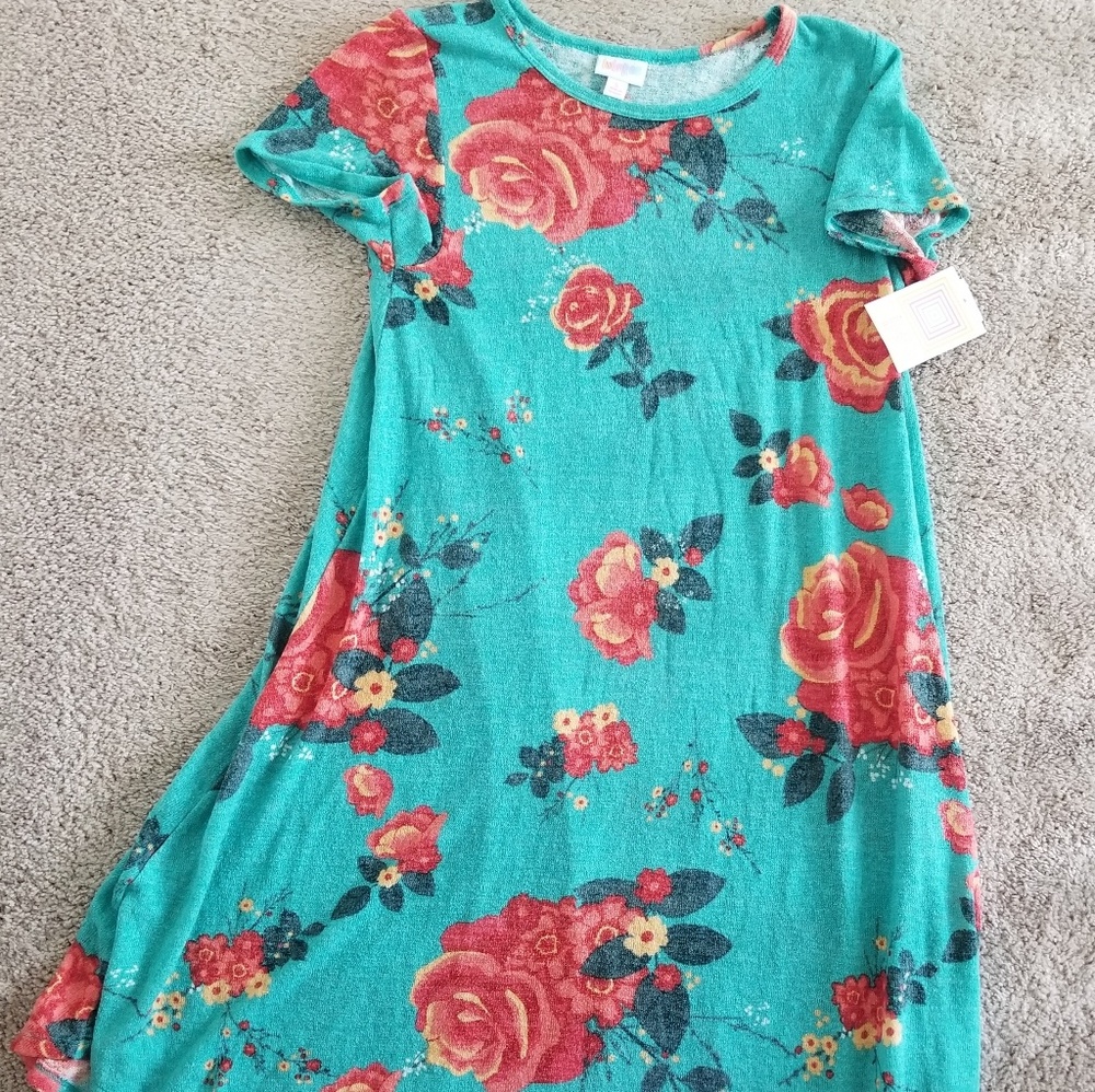 LuLaRoe Floral Carly Dress